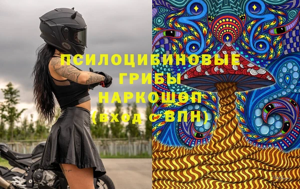 сатива Алексеевка